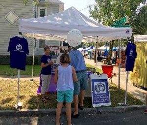 Tai Chi Revolution at Westcott Street Fair, 2017